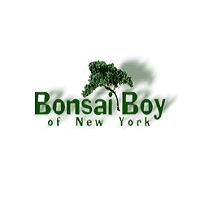 Bonsai Boy