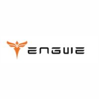 Engwe EU