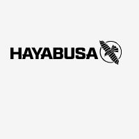 Hayabusa Fight