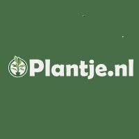 Plantje NL