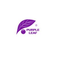 Purple Leaf