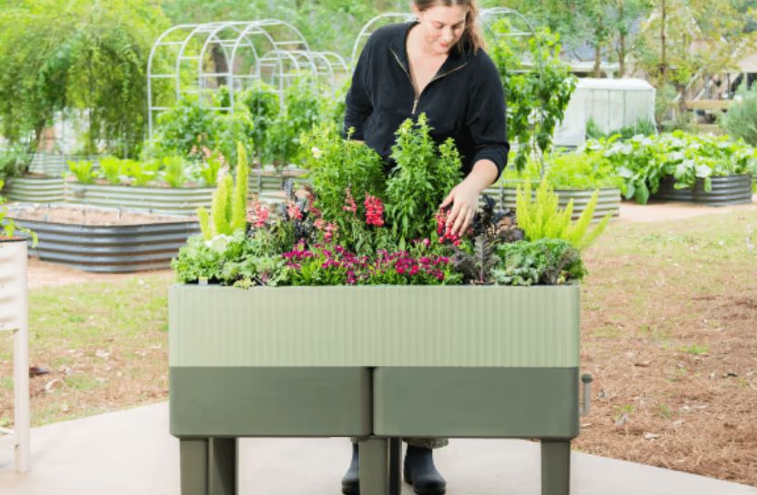 Vego Garden
