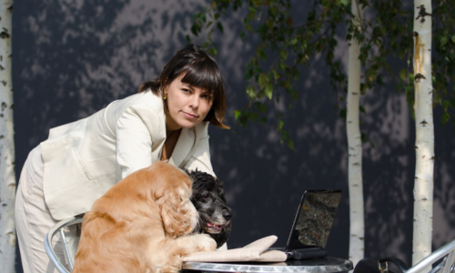 Why Animigo Is a Top Choice for Pet Wellness and Care