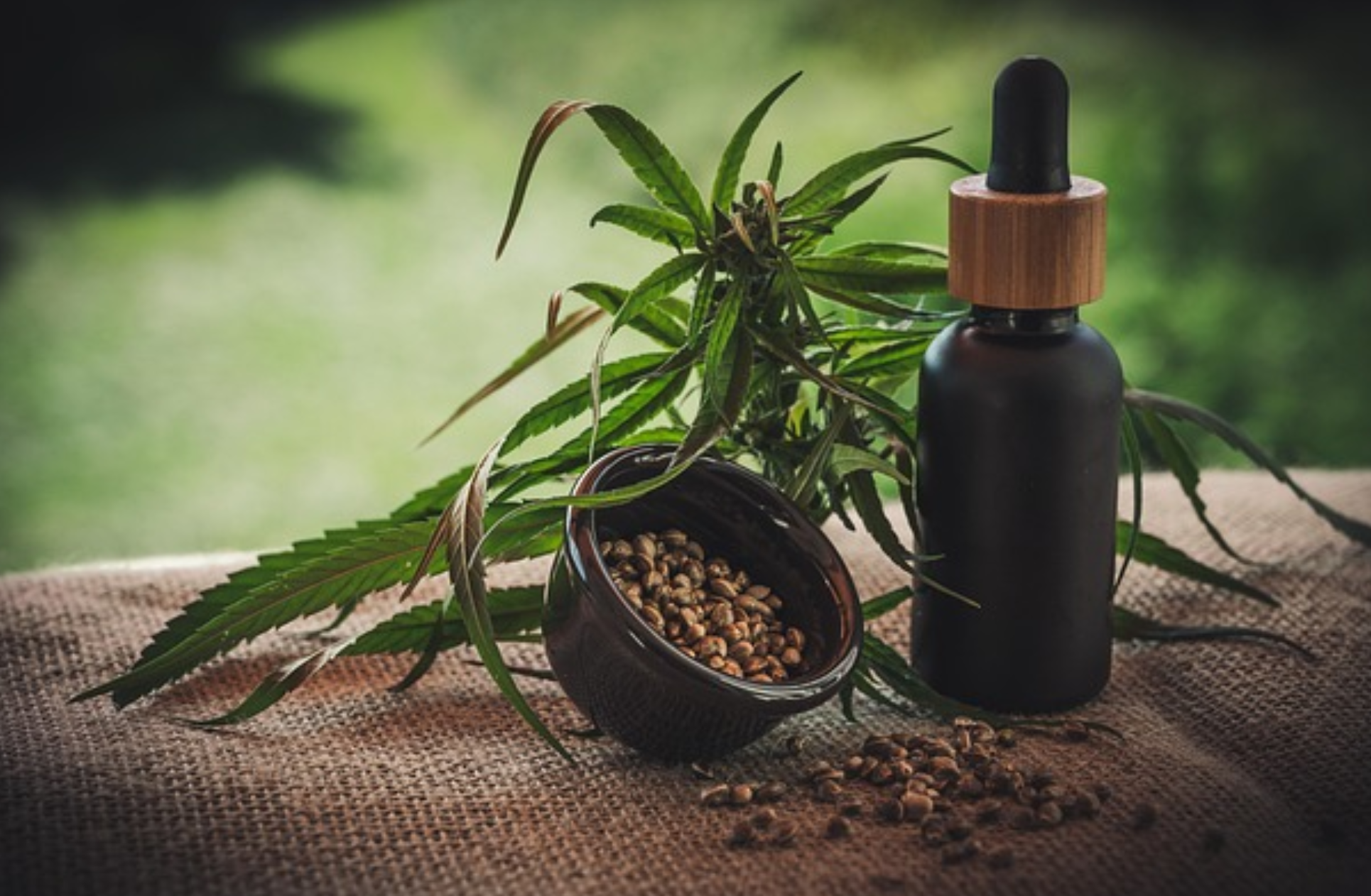 Evo Hemp: Premium Hemp Foods & CBD Wellness Products