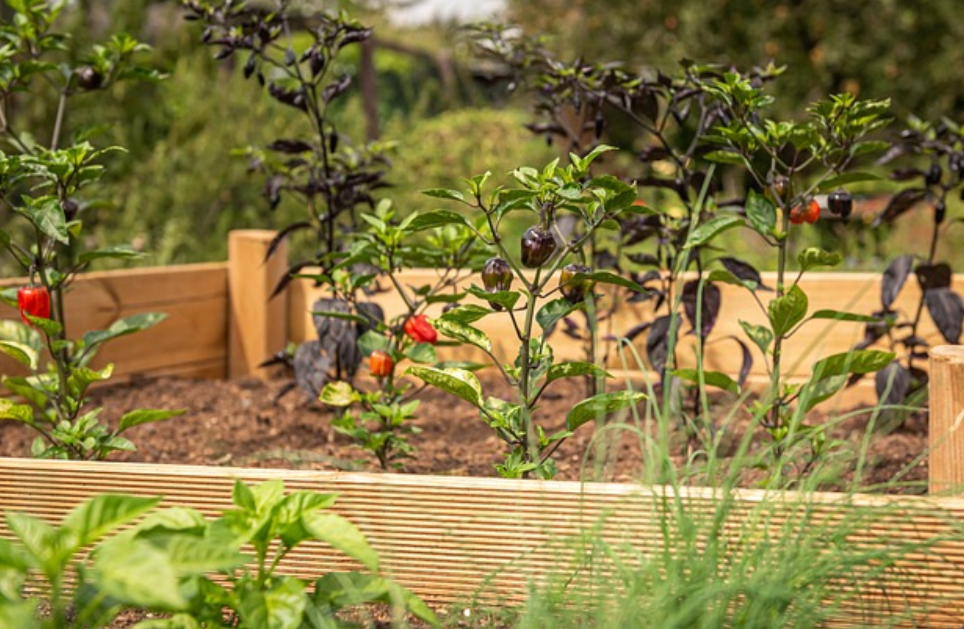 Land Guard Raised Garden Beds & Accessories