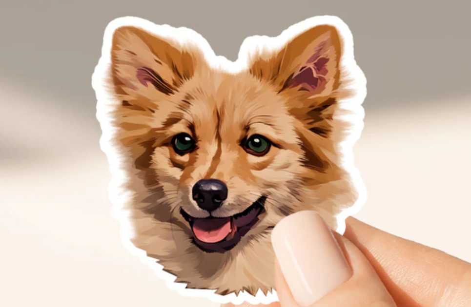 Mod Paws