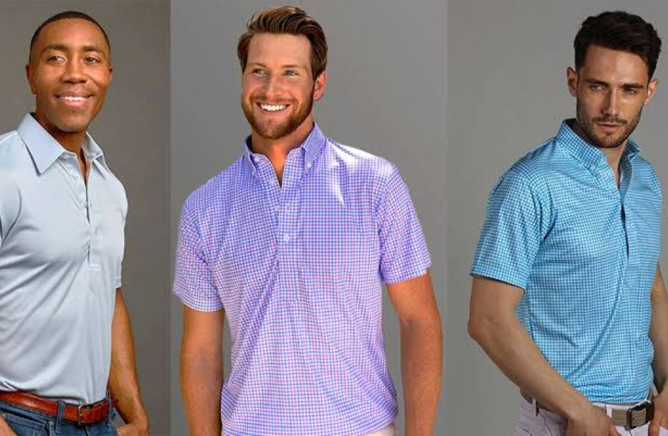 Collars & Co.