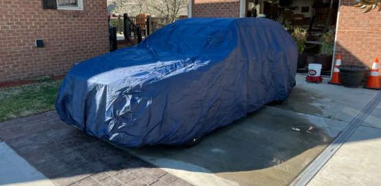 Seal Skin for Cars