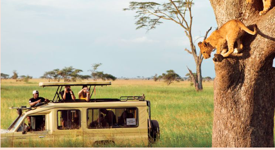 Serengeti, Tanzania