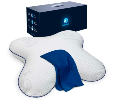Butterfly Pillow