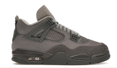 Air Jordan 4 Retro SE