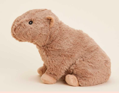 Capybara Warmies