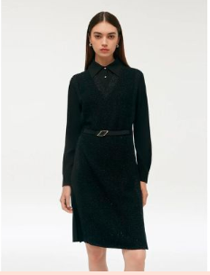 Business Luxe - Women Mini Dress