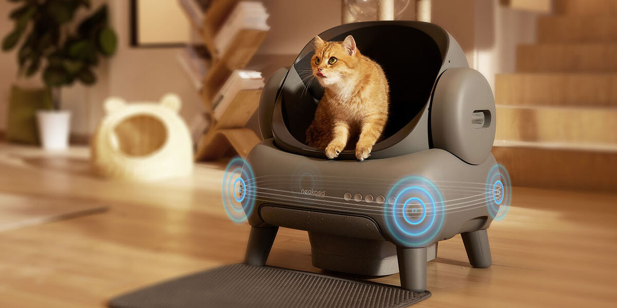 cat-litter-box